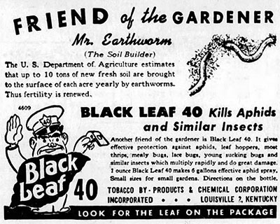 Black Leaf 40 Advertisment