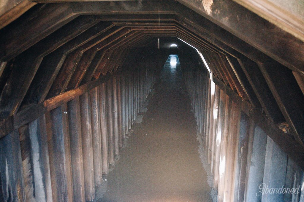 Chesapeake and Ohio Railroad Dawkins Subdivision Ivyton Tunnel, 2009 View