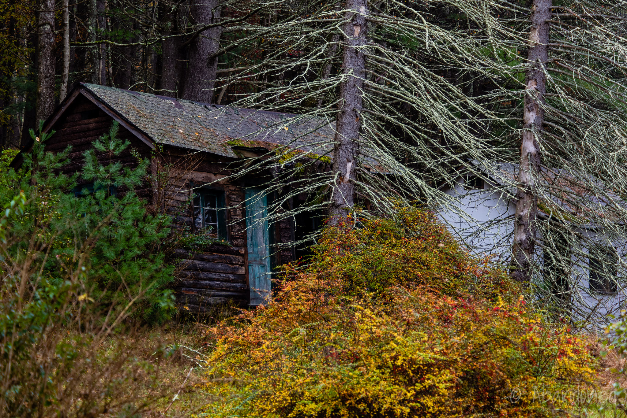 Abandoned Rustic Cottages