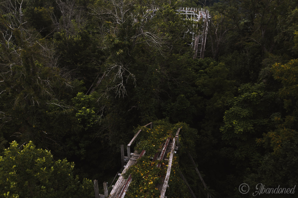 A view of The Cyclone at the abandoned Williams Grove Amusement Park.